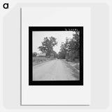 Country Road in Person County, North Carolina - Dorothea Lange Poster.