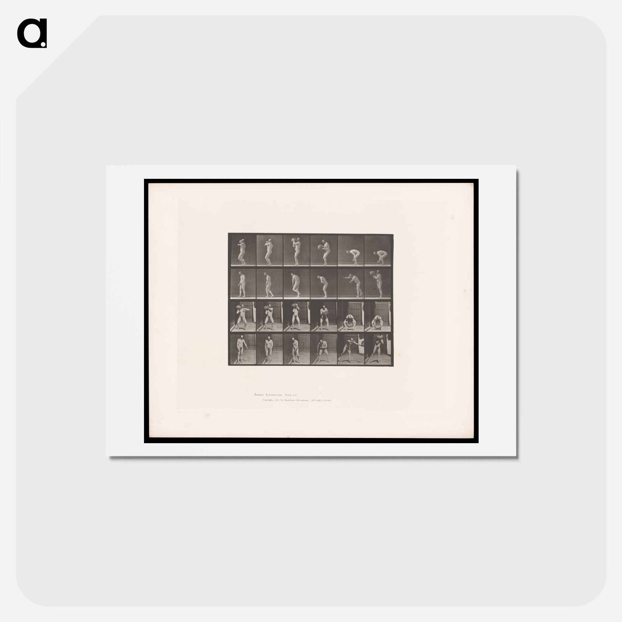 アートポストカード-Throwing the Rock
 - エドワード マイブリッジ Postcard.