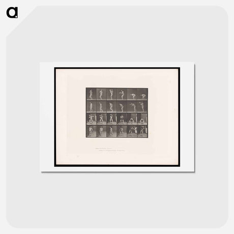 アートポストカード-Throwing the Rock
 - エドワード マイブリッジ Postcard.