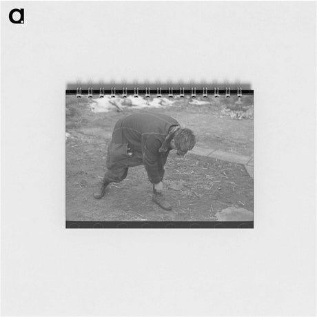 アートメモ帳-Chicot Farms Furniture
 - ラッセル リー Memo.