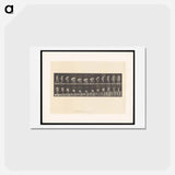 アートポストカード-Woman Picking Cloth
 - エドワード マイブリッジ Postcard.