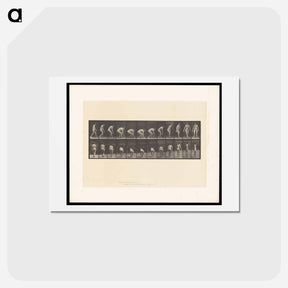 アートポストカード-Woman Picking Cloth
 - エドワード マイブリッジ Postcard.