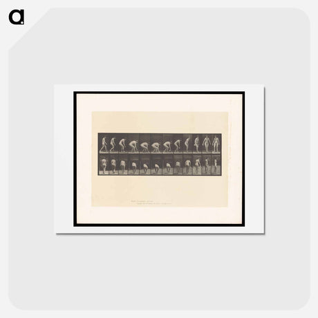 アートポストカード-Woman Picking Cloth
 - エドワード マイブリッジ Postcard.