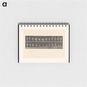 アートメモ帳-Woman Picking Cloth
 - エドワード マイブリッジ Memo.