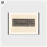 アートポストカード-Woman Picking Cloth
 - エドワード マイブリッジ Postcard.