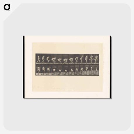 アートポストカード-Woman Picking Cloth
 - エドワード マイブリッジ Postcard.