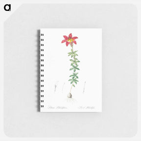 アートメモ帳-Wood lily illustration - ピエール ジョゼフ ルドゥーテ Memo.