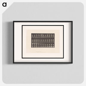 アートポスター-Woman on a Plank
 - エドワード マイブリッジ Poster.