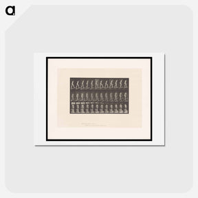 アートポストカード-Woman on a Plank
 - エドワード マイブリッジ Postcard.