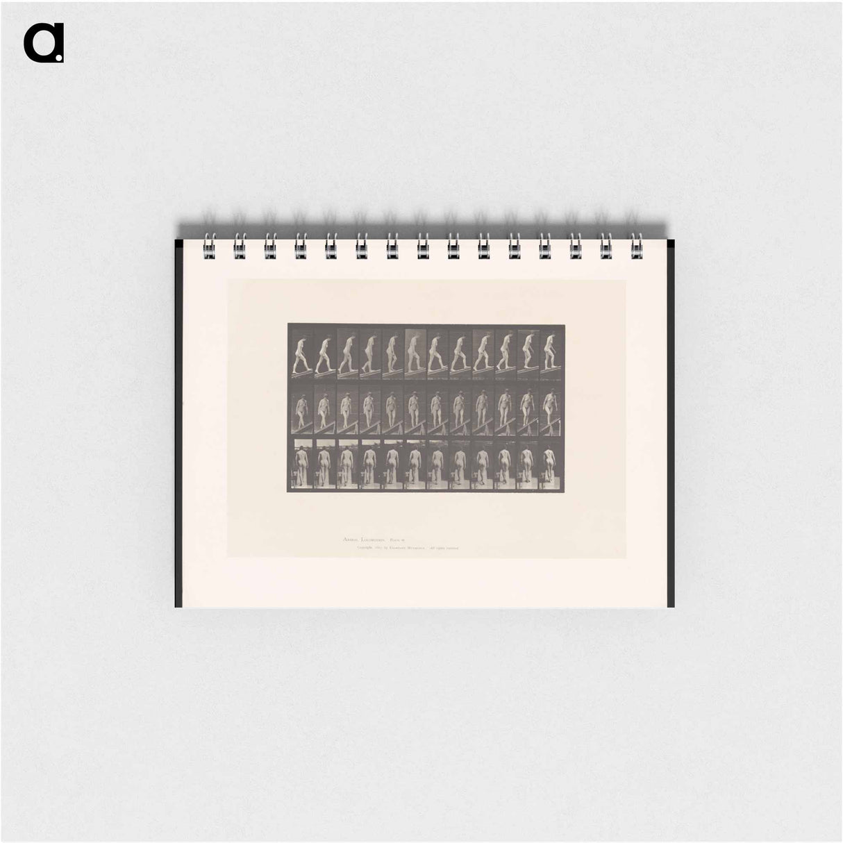 アートメモ帳-Woman on a Plank
 - エドワード マイブリッジ Memo.