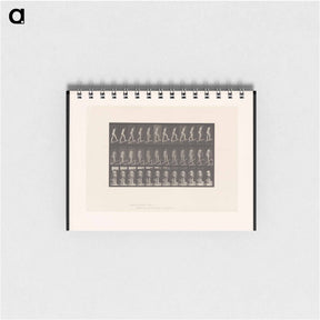 アートメモ帳-Woman on a Plank
 - エドワード マイブリッジ Memo.