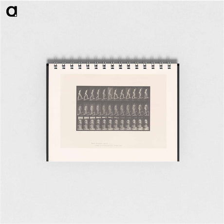 アートメモ帳-Woman on a Plank
 - エドワード マイブリッジ Memo.
