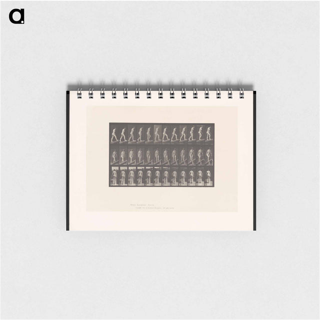 アートメモ帳-Woman on a Plank
 - エドワード マイブリッジ Memo.
