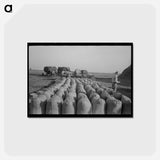アートポストカード-Threshing Rice, Louisiana
 - ラッセル リー Postcard.