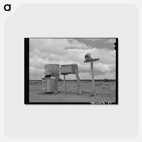 アートポストカード-Mailboxes in Catron County
 - ラッセル リー Postcard.