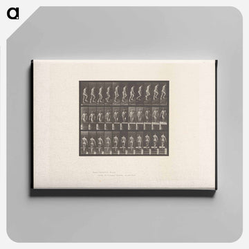 Ascending
 - エドワード マイブリッジ Canvas.