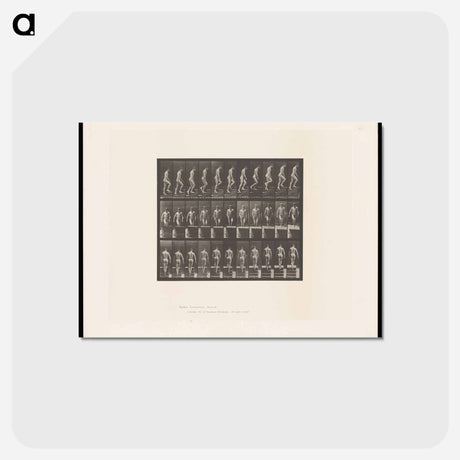 アートポストカード-Ascending
 - エドワード マイブリッジ Postcard.