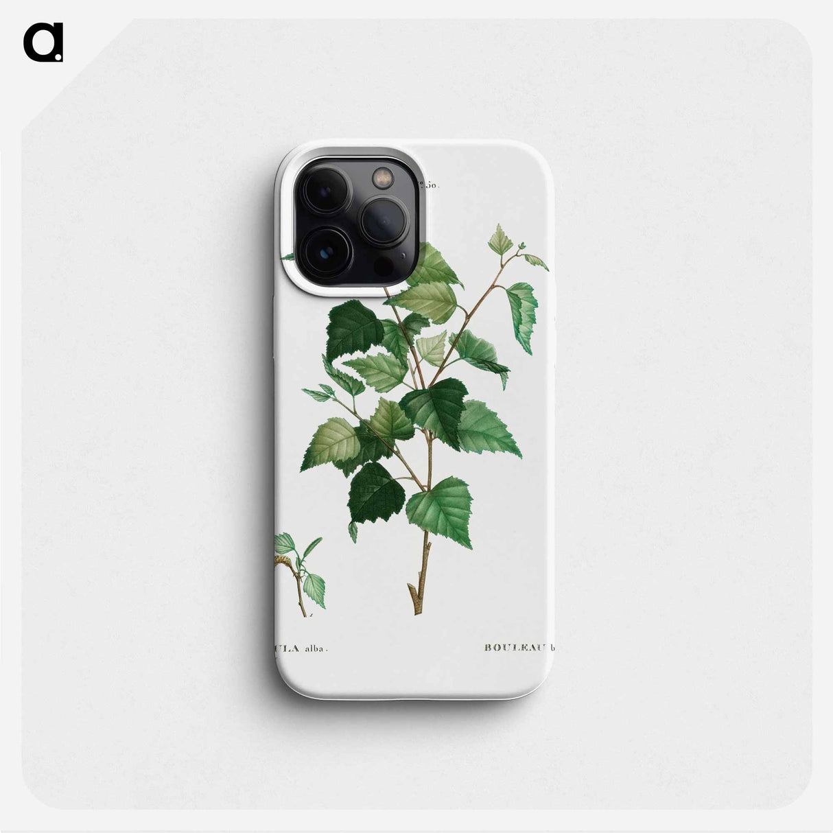 Silver birch - Pierre Joseph Redouté Phone Case.