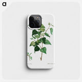 Silver birch - Pierre Joseph Redouté Phone Case.