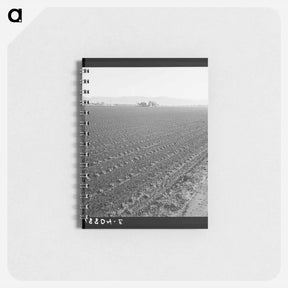 アートメモ帳-Untitled photo - ドロテア ラング Memo.