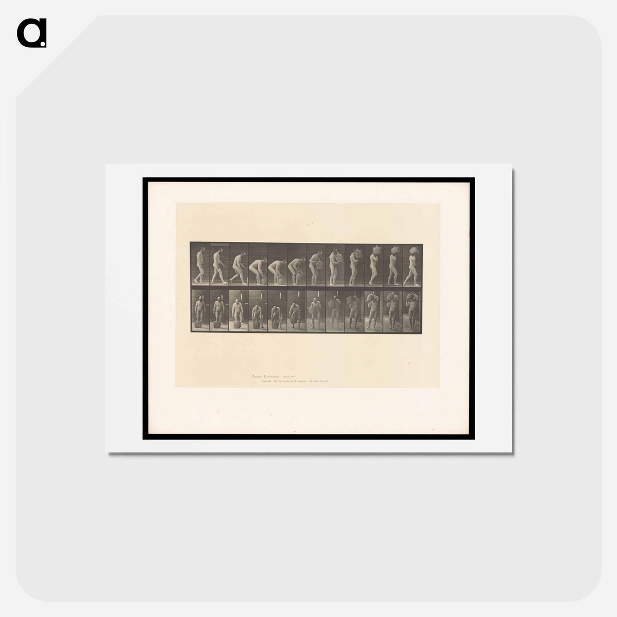 アートポストカード-Man with Barrel
 - エドワード マイブリッジ Postcard.