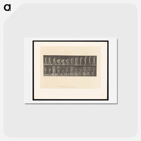 アートポストカード-Man with Barrel
 - エドワード マイブリッジ Postcard.