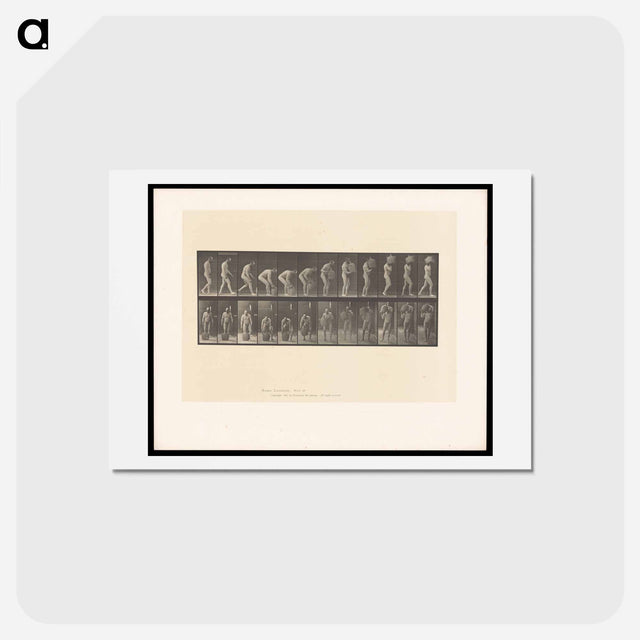アートポストカード-Man with Barrel
 - エドワード マイブリッジ Postcard.