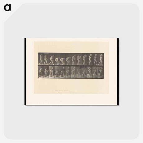 アートポストカード-Man with Barrel
 - エドワード マイブリッジ Postcard.