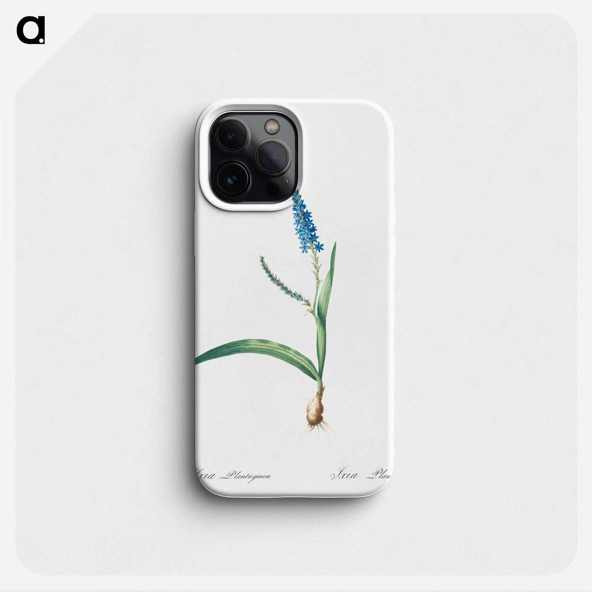 Ixia plantaginea illustration - Pierre Joseph Redouté Phone Case.