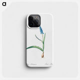Ixia plantaginea illustration - Pierre Joseph Redouté Phone Case.