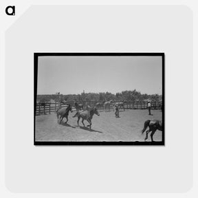 アートポストカード-Roping a Horse in Texas
 - ラッセル リー Postcard.
