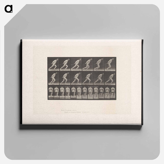 アートパネル-Man Pulling a Roller
 - エドワード マイブリッジ Canvas.