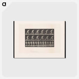 アートポストカード-Man Pulling a Roller
 - エドワード マイブリッジ Postcard.