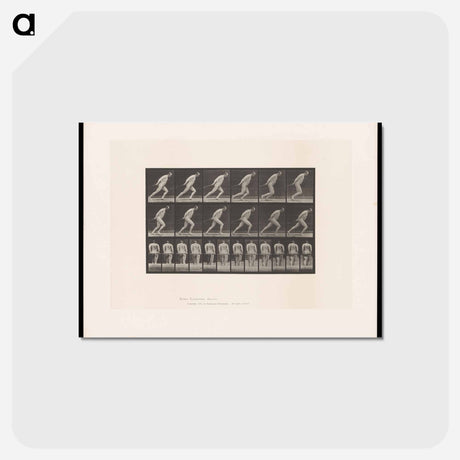 アートポストカード-Man Pulling a Roller
 - エドワード マイブリッジ Postcard.