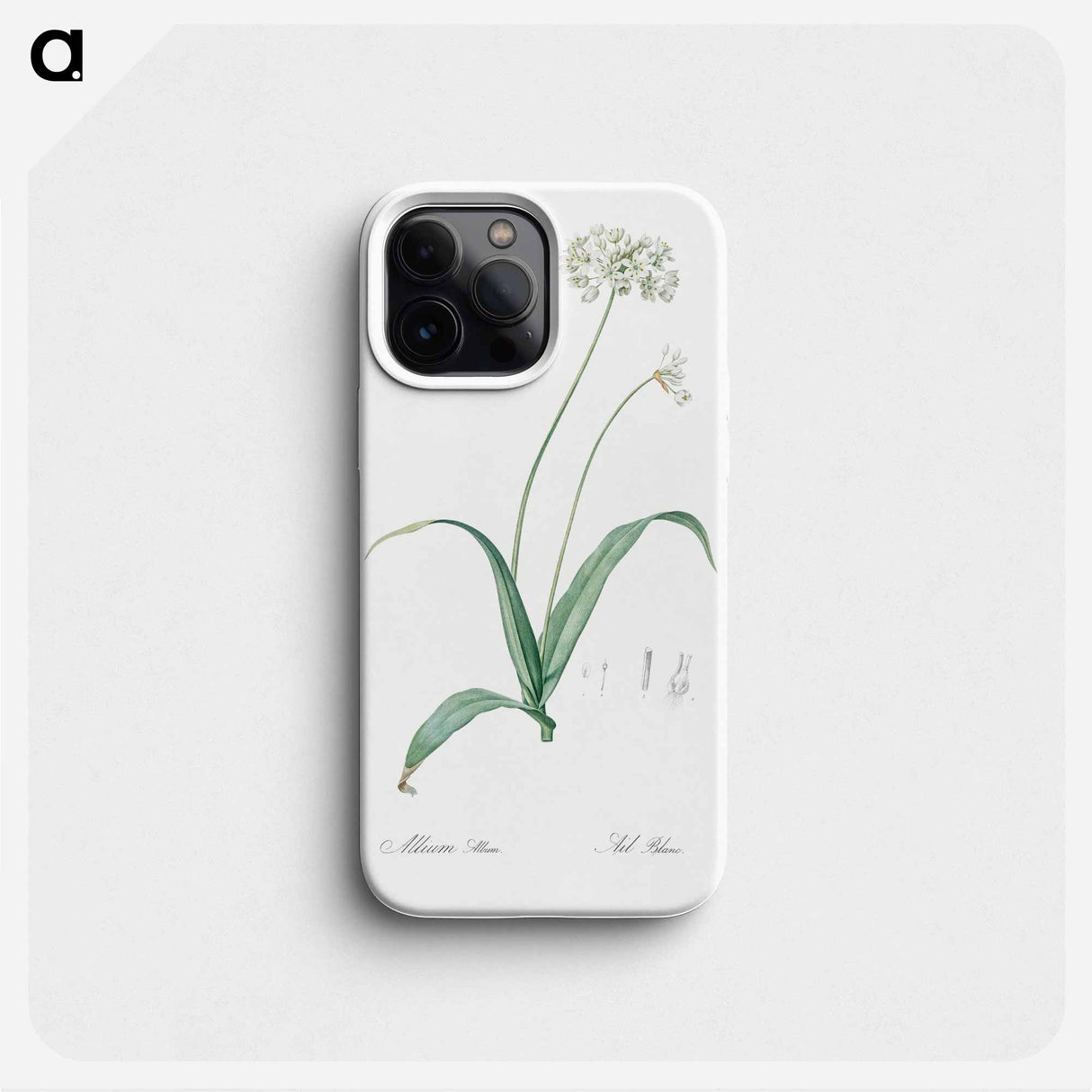 Spring garlic illustration - ピエール ジョゼフ ルドゥーテ Phone Case.