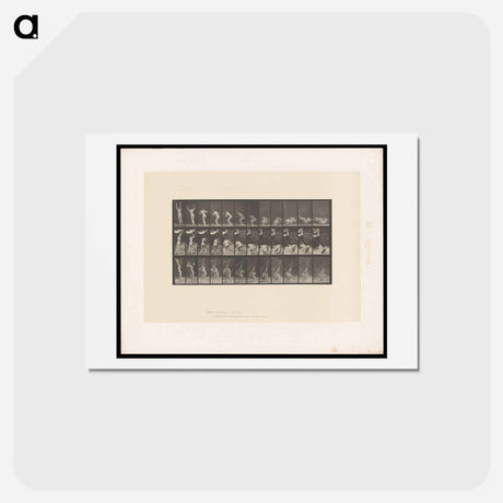 アートポストカード-Hammock
 - エドワード マイブリッジ Postcard.