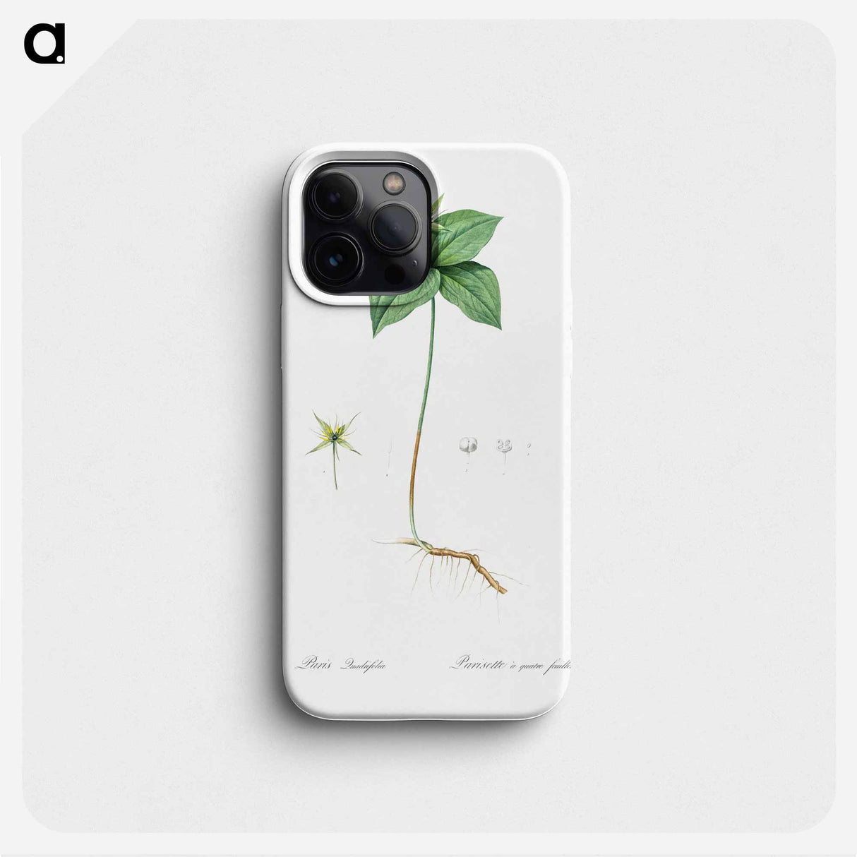 Herb paris illustration from Les liliacées - Pierre Joseph Redouté Phone Case.
