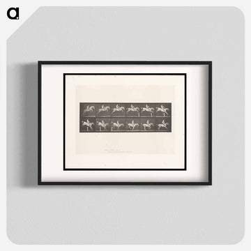 Man on Horse Jumping a Hurdle
 - エドワード マイブリッジ Poster.