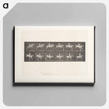 アートパネル-Man on Horse Jumping a Hurdle
 - エドワード マイブリッジ Canvas.