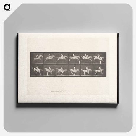 アートパネル-Man on Horse Jumping a Hurdle
 - エドワード マイブリッジ Canvas.