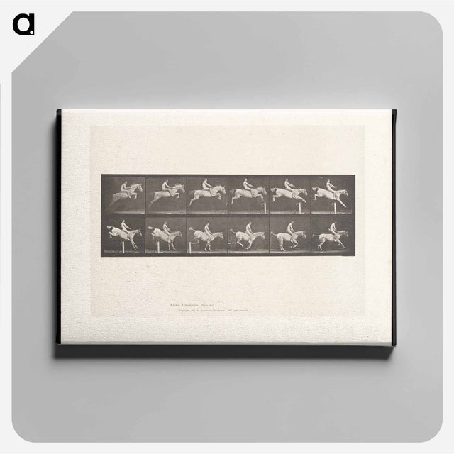 アートパネル-Man on Horse Jumping a Hurdle
 - エドワード マイブリッジ Canvas.