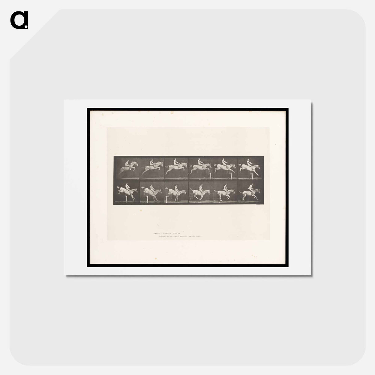 アートポストカード-Man on Horse Jumping a Hurdle
 - エドワード マイブリッジ Postcard.