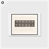 アートポストカード-Man on Horse Jumping a Hurdle
 - エドワード マイブリッジ Postcard.