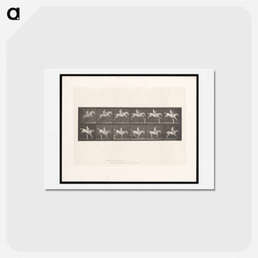 アートポストカード-Man on Horse Jumping a Hurdle
 - エドワード マイブリッジ Postcard.