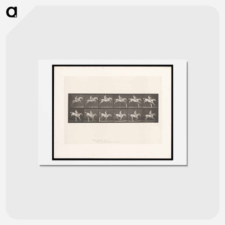 アートポストカード-Man on Horse Jumping a Hurdle
 - エドワード マイブリッジ Postcard.