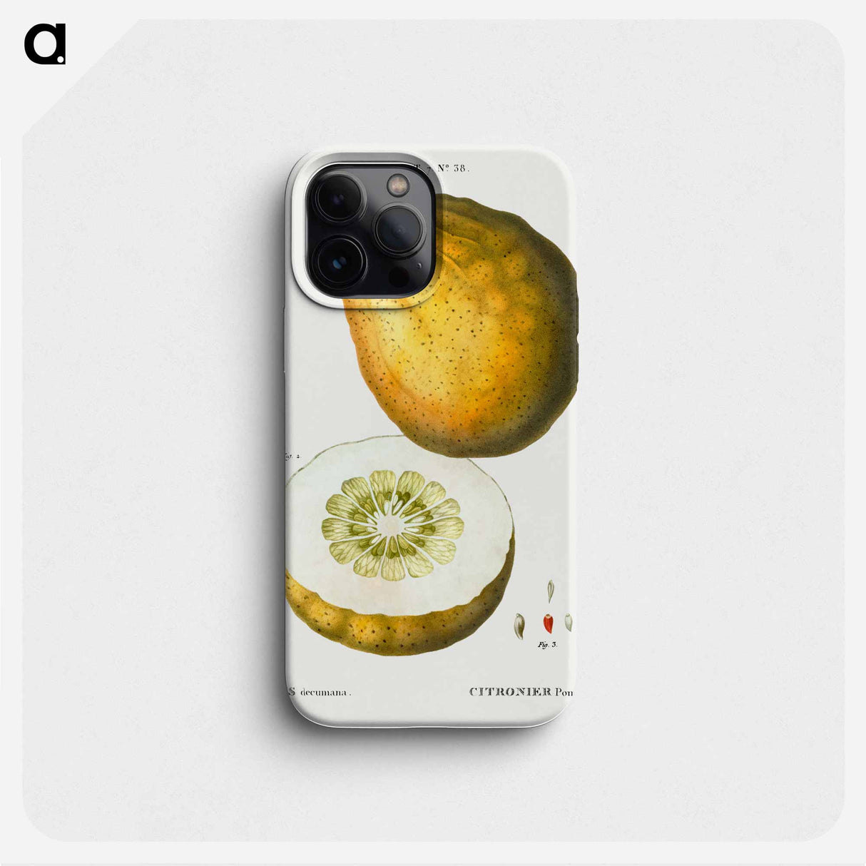 Pomelo (Citrus decumana) - ピエール ジョゼフ ルドゥーテ Phone Case.