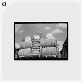 アートポストカード-Cotton, Lehi, Arkansas
 - ラッセル リー Postcard.