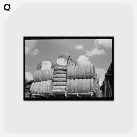 アートポストカード-Cotton, Lehi, Arkansas
 - ラッセル リー Postcard.