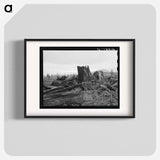 Stumps on Cox farm piled and ready for burning - Dorothea Lange Poster.