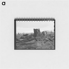 アートメモ帳-Stumps on Cox farm piled and ready for burning - ドロテア ラング Memo.